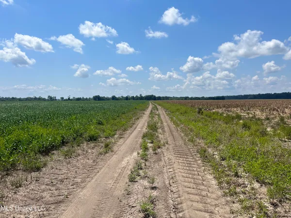 $660,000 | 9355 Hwy 65 Waterproof La, Waterproof, LA 71375