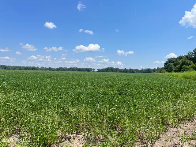 $660,000 | 9355 Hwy 65 Waterproof La, Waterproof, LA 71375