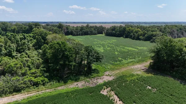 $660,000 | 9355 Hwy 65 Waterproof La, Waterproof, LA 71375