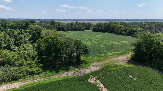 $660,000 | 9355 Hwy 65 Waterproof La, Waterproof, LA 71375