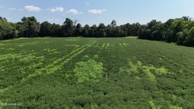 $660,000 | 9355 Hwy 65 Waterproof La, Waterproof, LA 71375