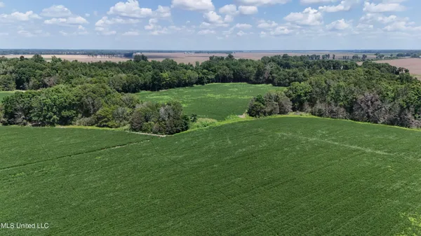 $660,000 | 9355 Hwy 65 Waterproof La, Waterproof, LA 71375