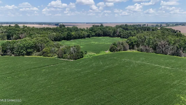 $660,000 | 9355 Hwy 65 Waterproof La, Waterproof, LA 71375