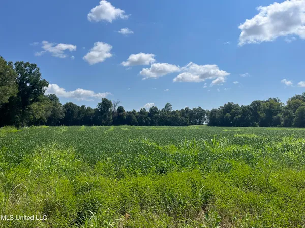 $660,000 | 9355 Hwy 65 Waterproof La, Waterproof, LA 71375