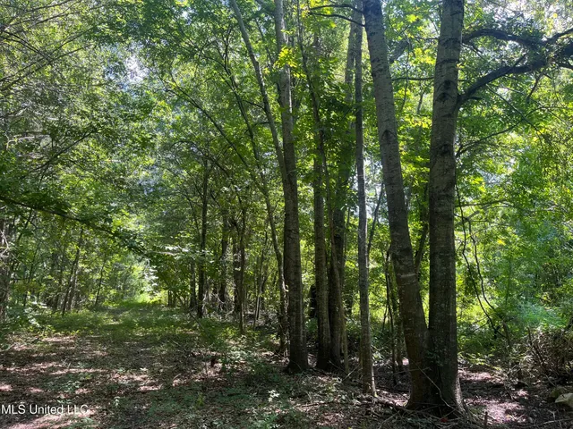 $660,000 | 9355 Hwy 65 Waterproof La, Waterproof, LA 71375