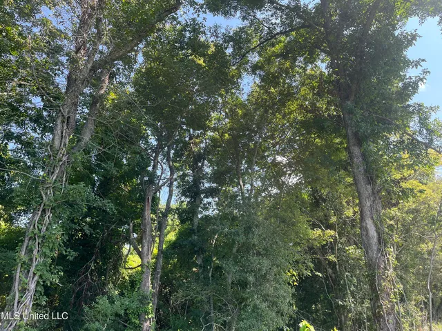 $660,000 | 9355 Hwy 65 Waterproof La, Waterproof, LA 71375