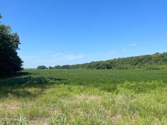 $660,000 | 9355 Hwy 65 Waterproof La, Waterproof, LA 71375