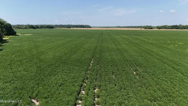 $660,000 | 9355 Hwy 65 Waterproof La, Waterproof, LA 71375