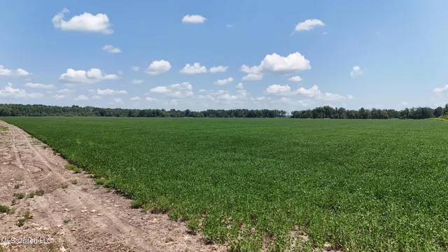 $660,000 | 9355 Hwy 65 Waterproof La, Waterproof, LA 71375