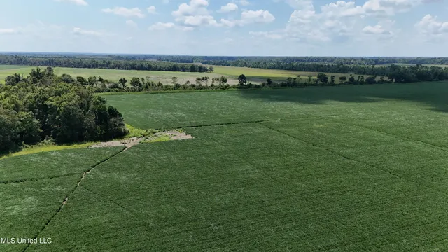 $660,000 | 9355 Hwy 65 Waterproof La, Waterproof, LA 71375