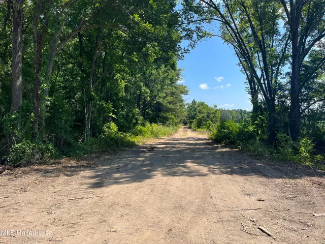 $660,000 | 9355 Hwy 65 Waterproof La, Waterproof, LA 71375