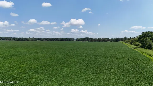 $660,000 | 9355 Hwy 65 Waterproof La, Waterproof, LA 71375