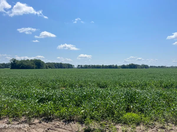 $660,000 | 9355 Hwy 65 Waterproof La, Waterproof, LA 71375