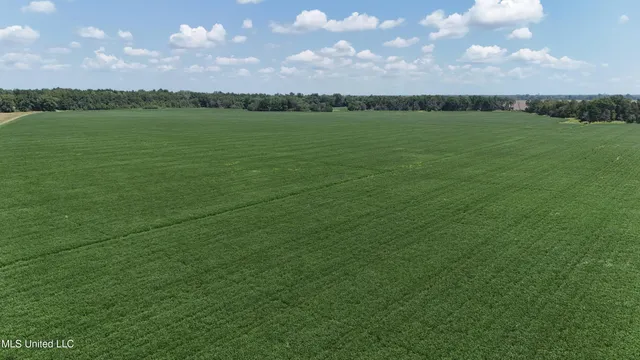 $660,000 | 9355 Hwy 65 Waterproof La, Waterproof, LA 71375