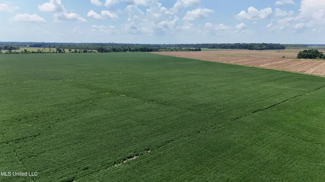 $660,000 | 9355 Hwy 65 Waterproof La, Waterproof, LA 71375