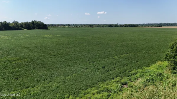 $660,000 | 9355 Hwy 65 Waterproof La, Waterproof, LA 71375