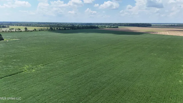 $660,000 | 9355 Hwy 65 Waterproof La, Waterproof, LA 71375