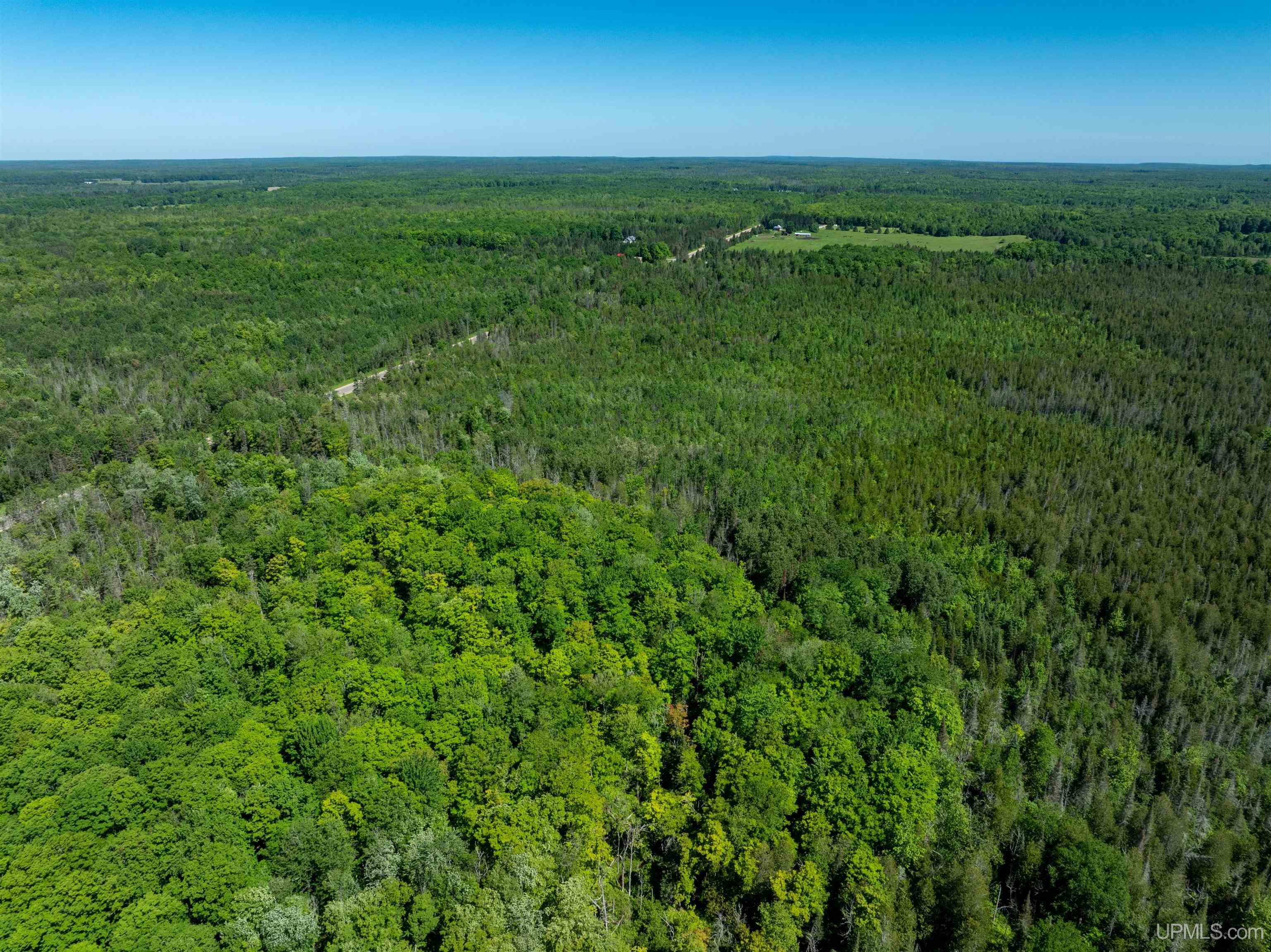 M67 Rd Trenary Mi 49816 Road Chatham, MI 49816 - Photo 4 of 12