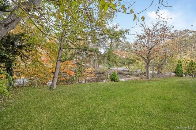 a view of a field with large trees