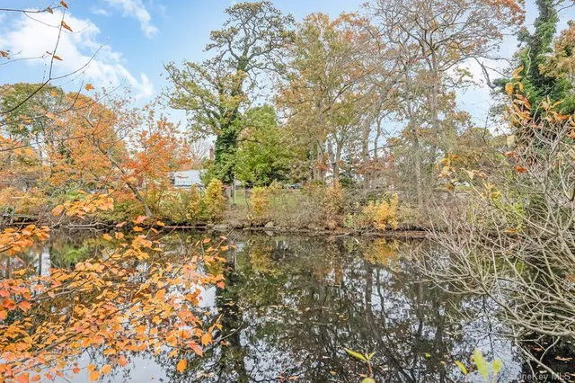 a view of a yard with a tree