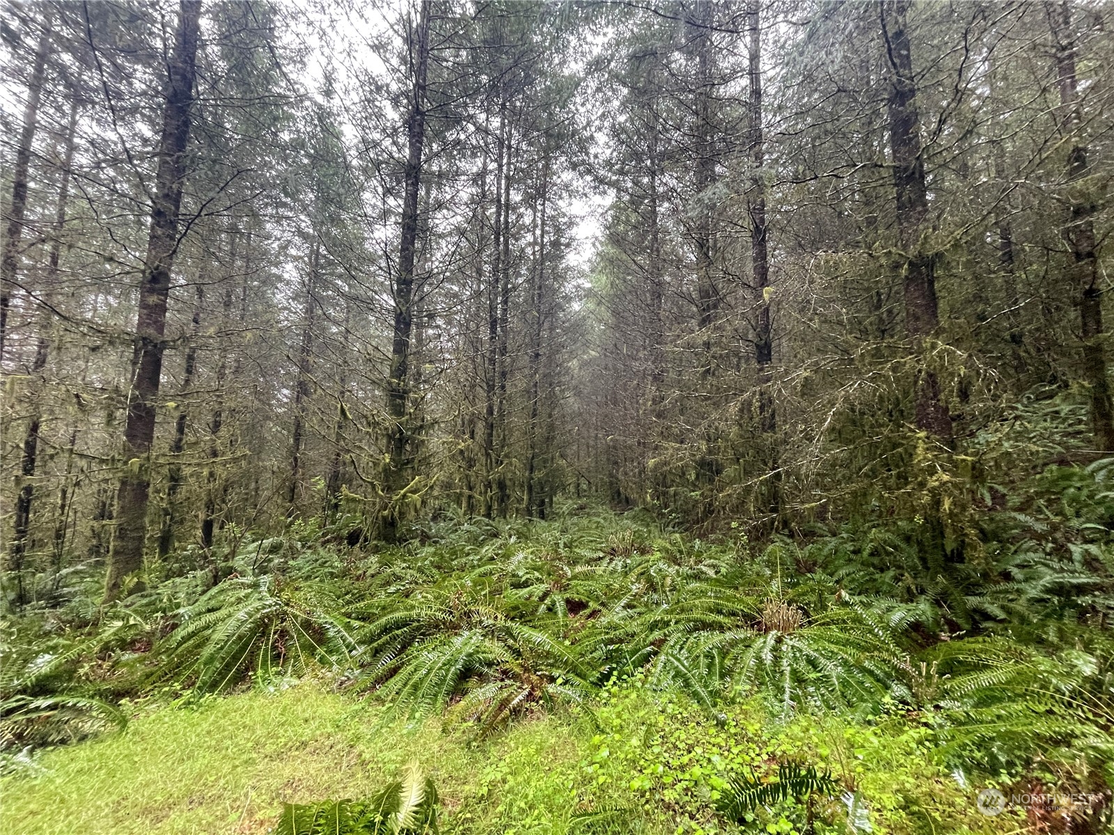 0 Weyerhaeuser Road Kalama, WA 98625 - Photo 2 of 9 Gallery Image 2