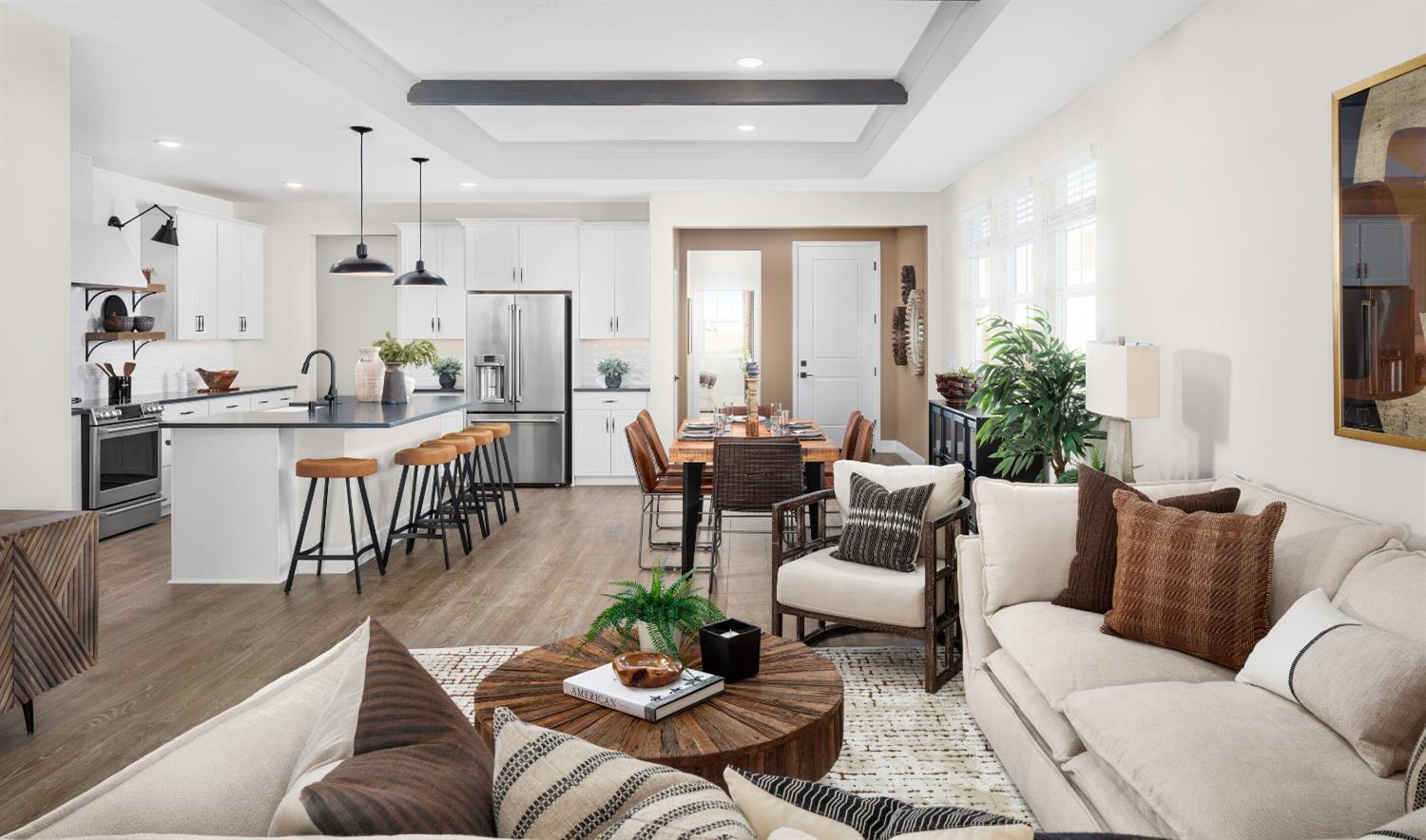 4452 Doric Way Rancho Cordova, CA 95742 - Photo 8 of 15 a living room with furniture kitchen view and a potted plant