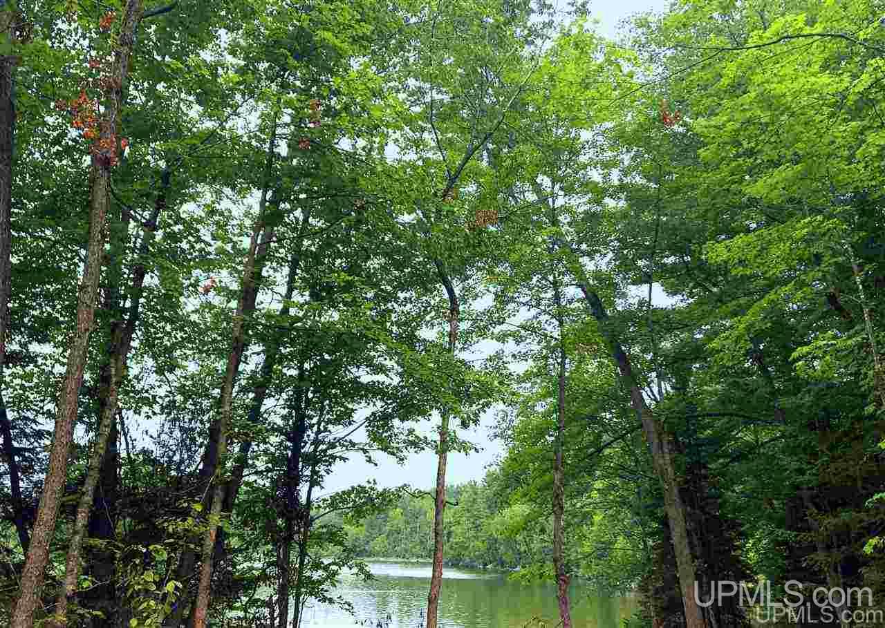 Tbd Deer Lake Road Ishpeming, MI 49849 - Photo 34 of 47