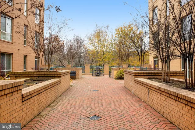 a view of swimming pool with chairs