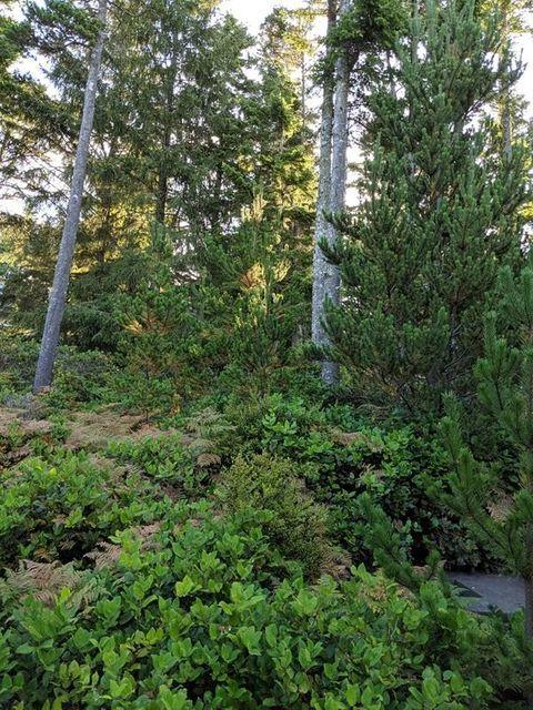 1703 Meena Way Tillamook, OR 97141 - Photo 9 of 14 009