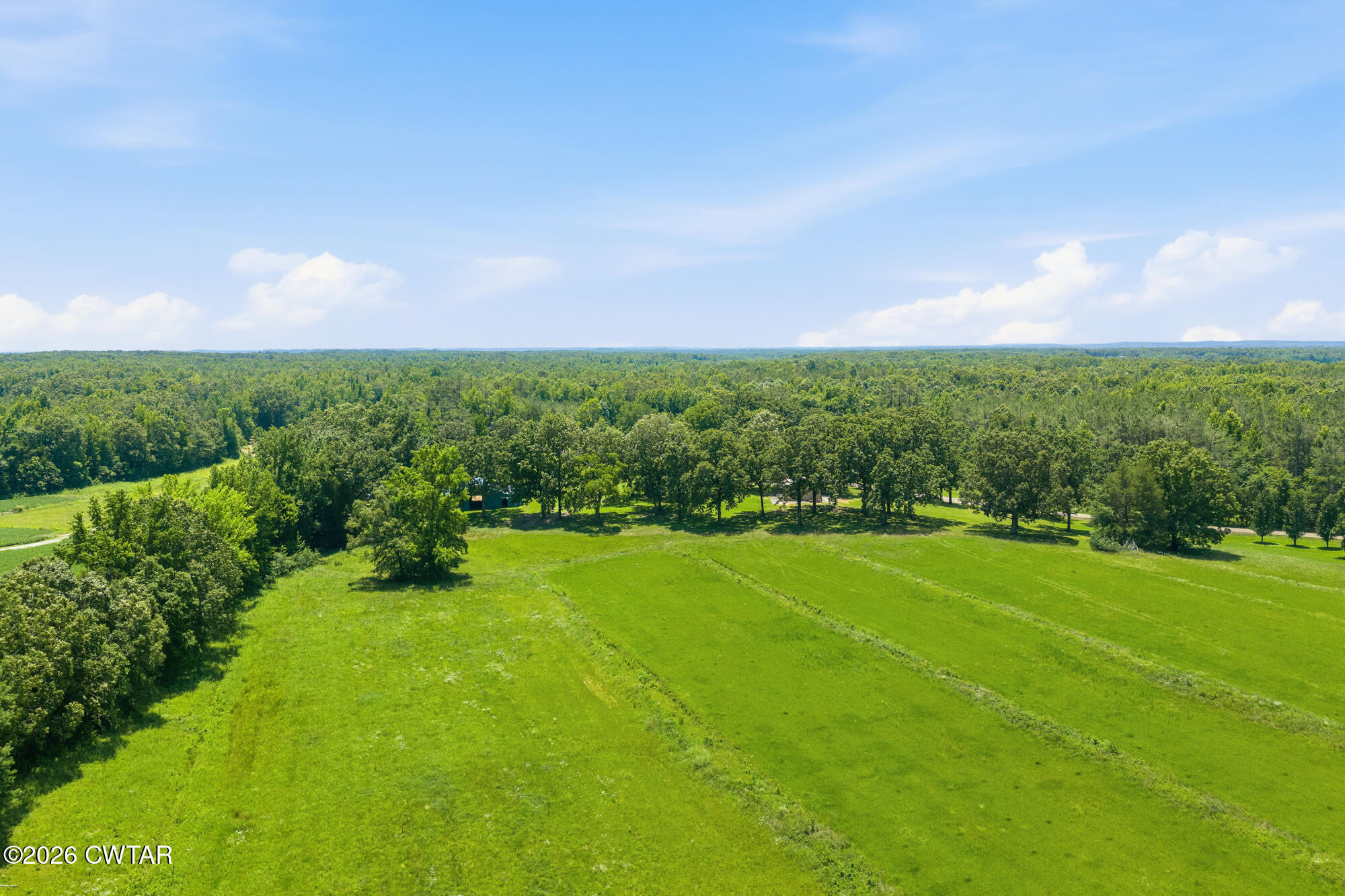 3685 Henderson Road Sardis, TN 38371 - Photo 20 of 31 DJI_20260619124804_0353_D