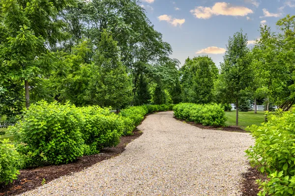 a view of a garden with pathway