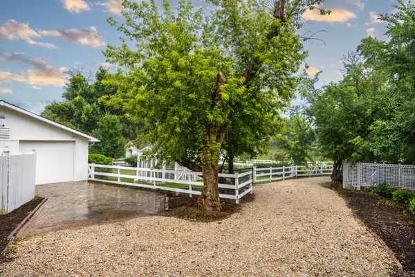 a view of backyard with large trees