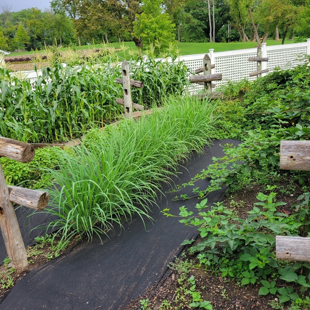 404 Caesar Drive, Unit 2 Barrington, IL 60010 - Photo 26 of 30