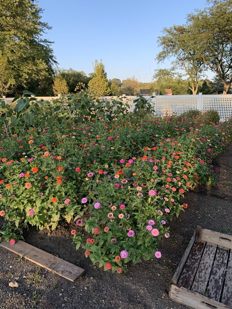 404 Caesar Drive, Unit 2 Barrington, IL 60010 - Photo 27 of 30