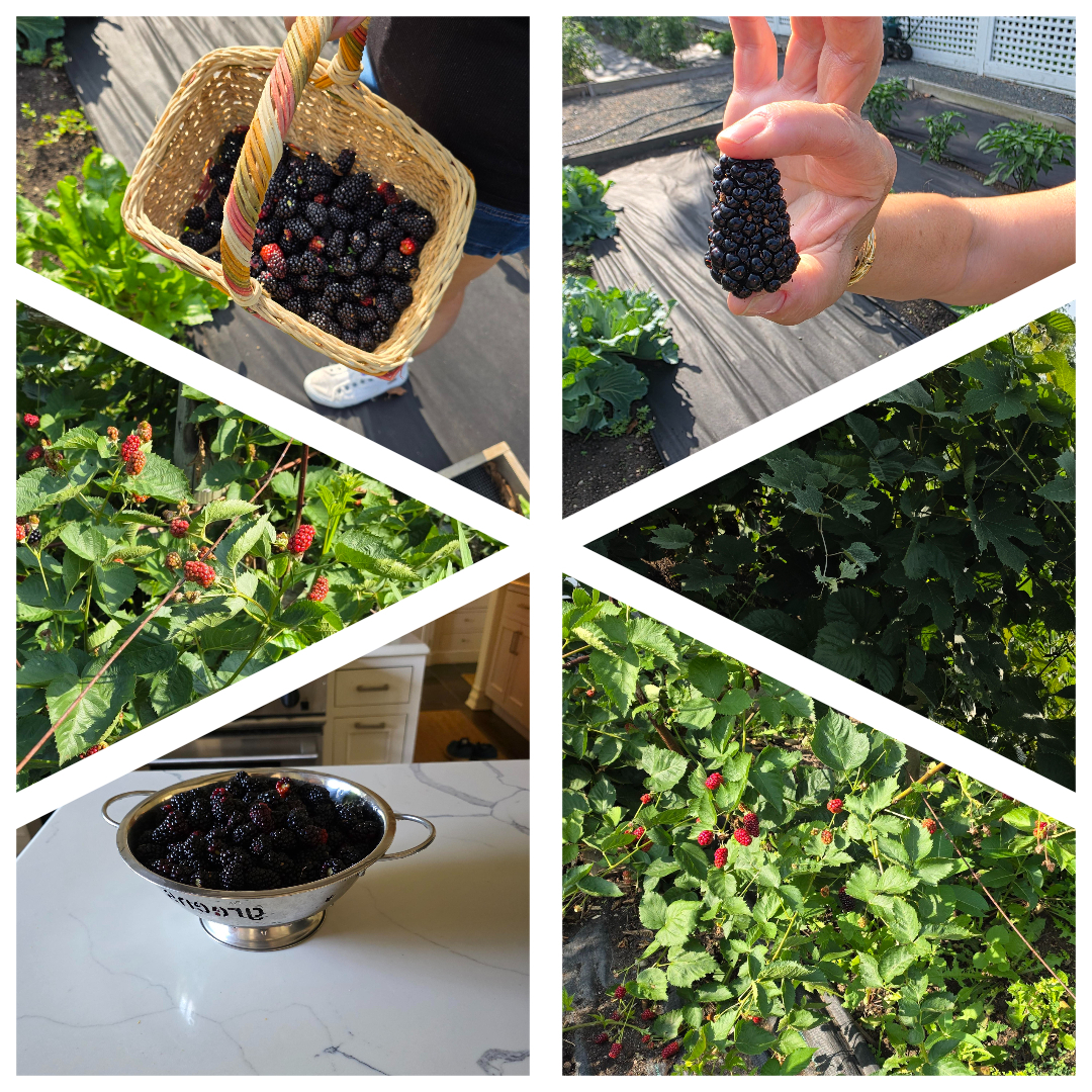 404 Caesar Drive, Unit 2 Barrington, IL 60010 - Photo 28 of 30