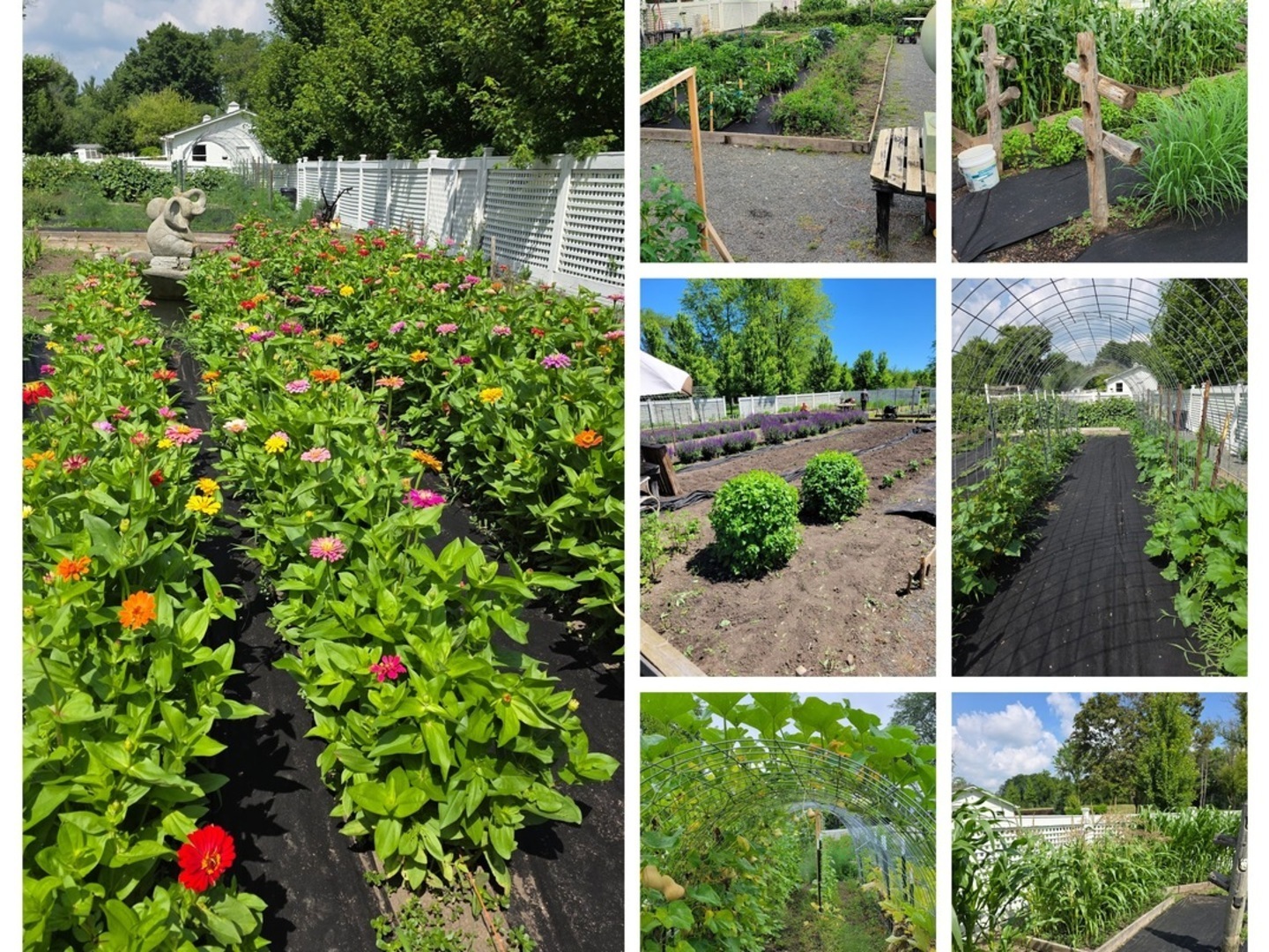 404 Caesar Drive, Unit 2 Barrington, IL 60010 - Photo 29 of 30