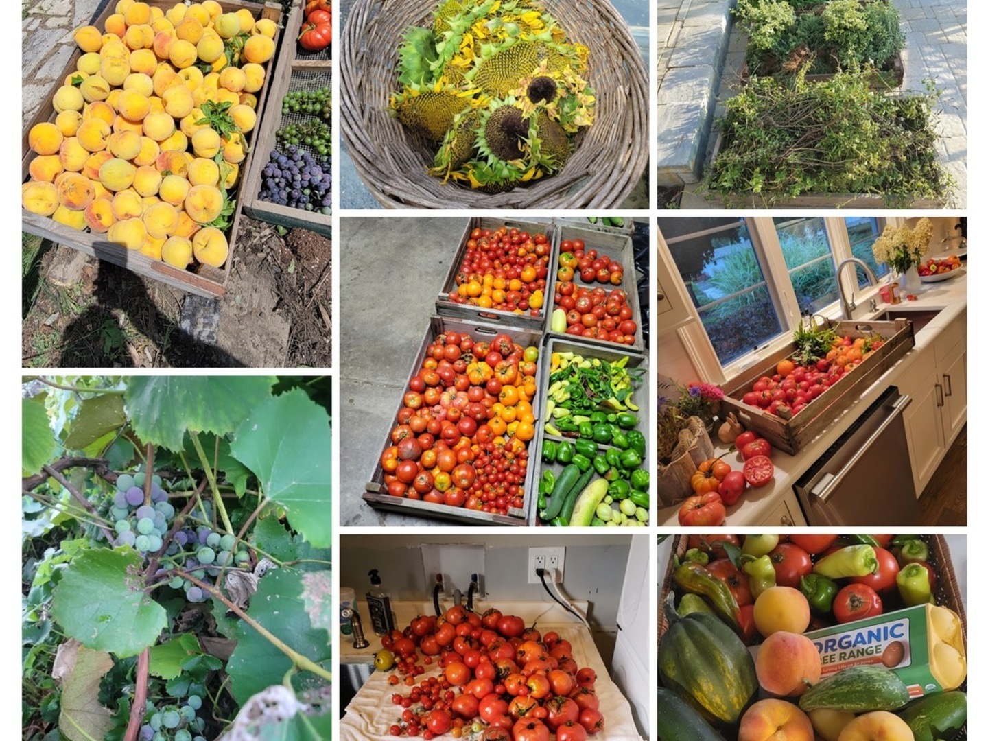 404 Caesar Drive, Unit 2 Barrington, IL 60010 - Photo 30 of 30