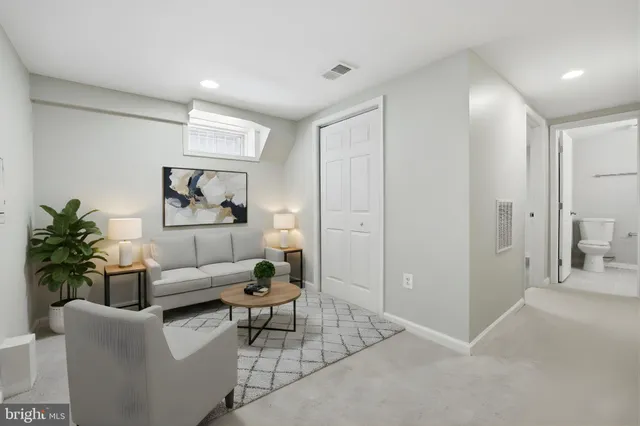 a living room with furniture and a potted plant