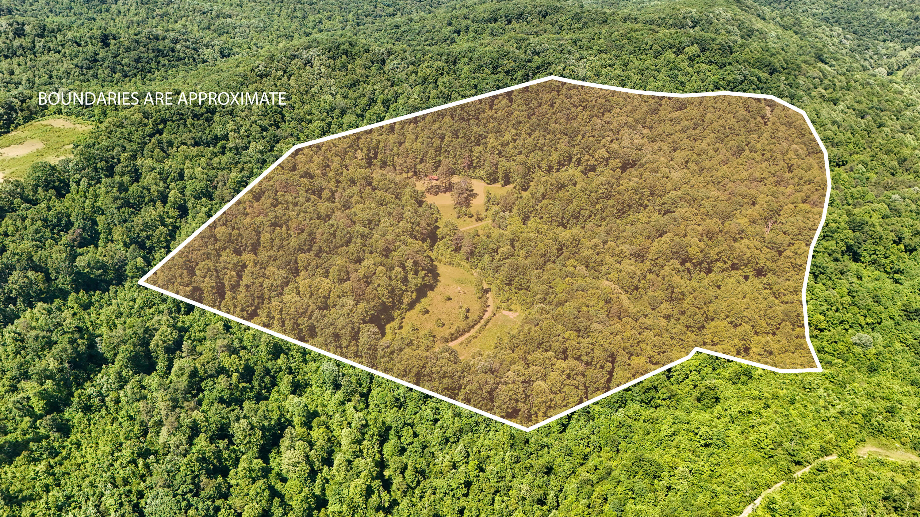 0 Birch Hollow Road Livingston, KY 40445 - Photo 2 of 38 LightroomRealEstateEdits-4 copy