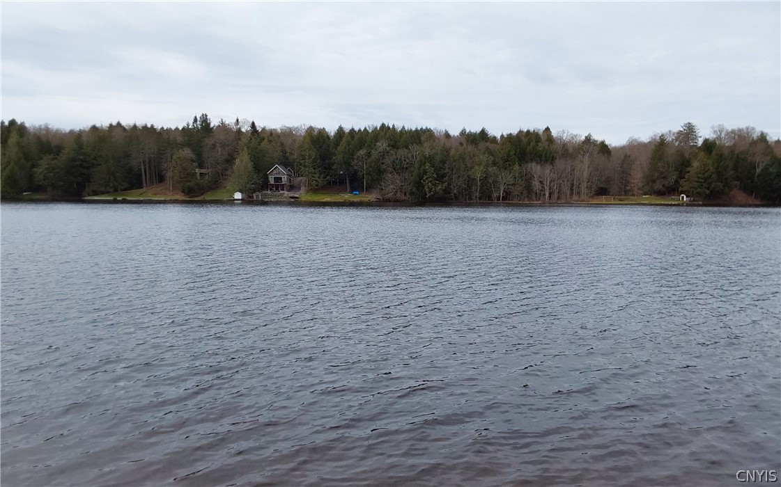 6504 Lorraine Avenue Remsen, NY 13438 - Photo 40 of 44
