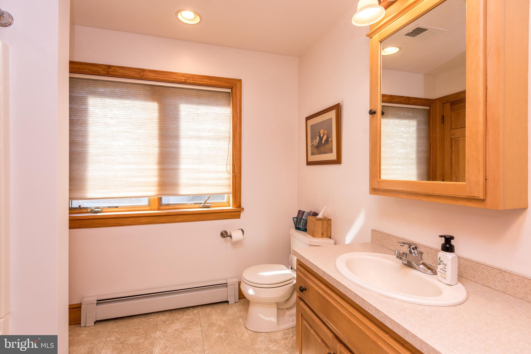 791 Temple Road Pottstown, PA 19465 - Photo 41 of 82 a bathroom with a toilet a sink and a mirror