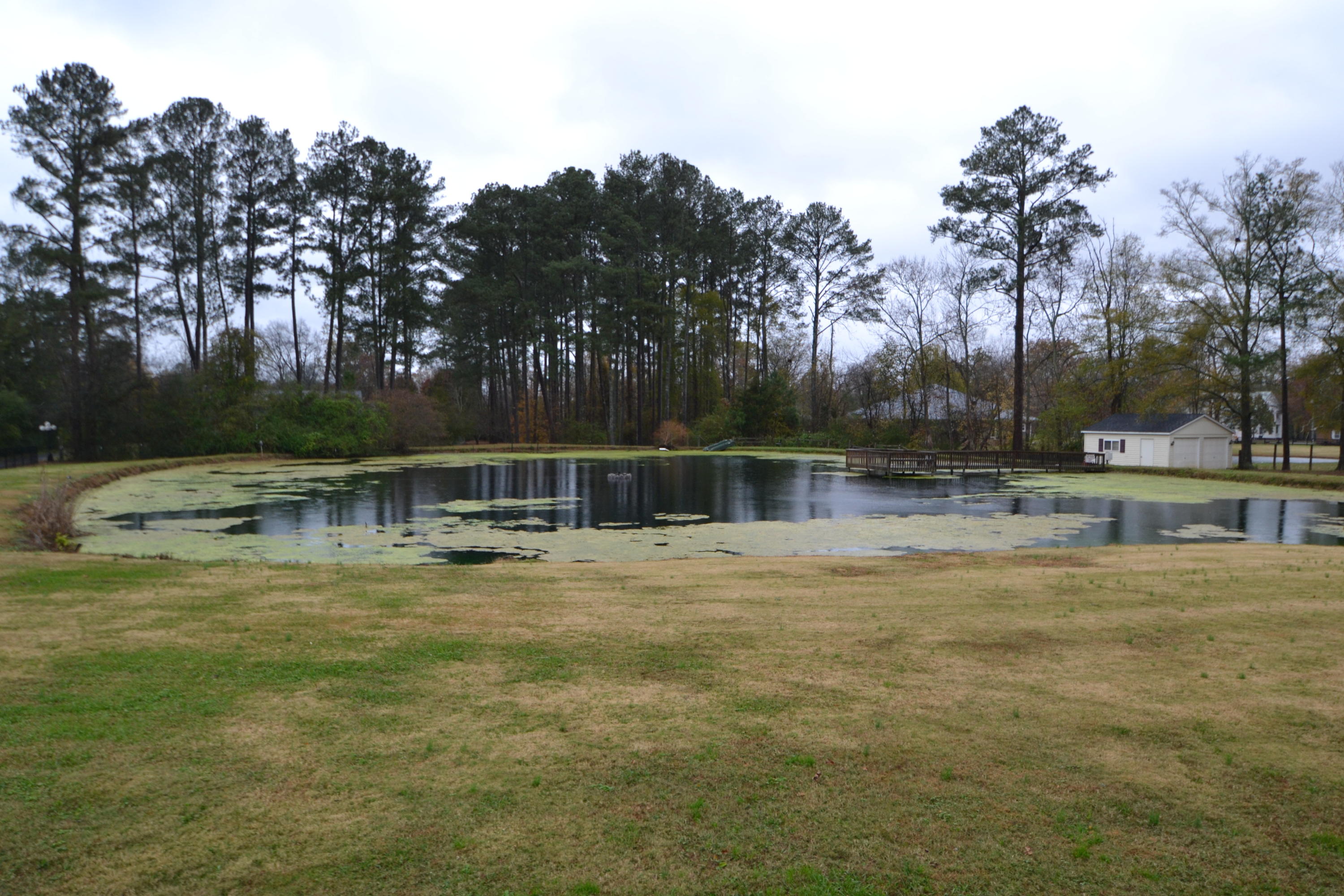 1495 Morris Hill Road Chattanooga, TN 37421 - Photo 14 of 26 DSC_1044