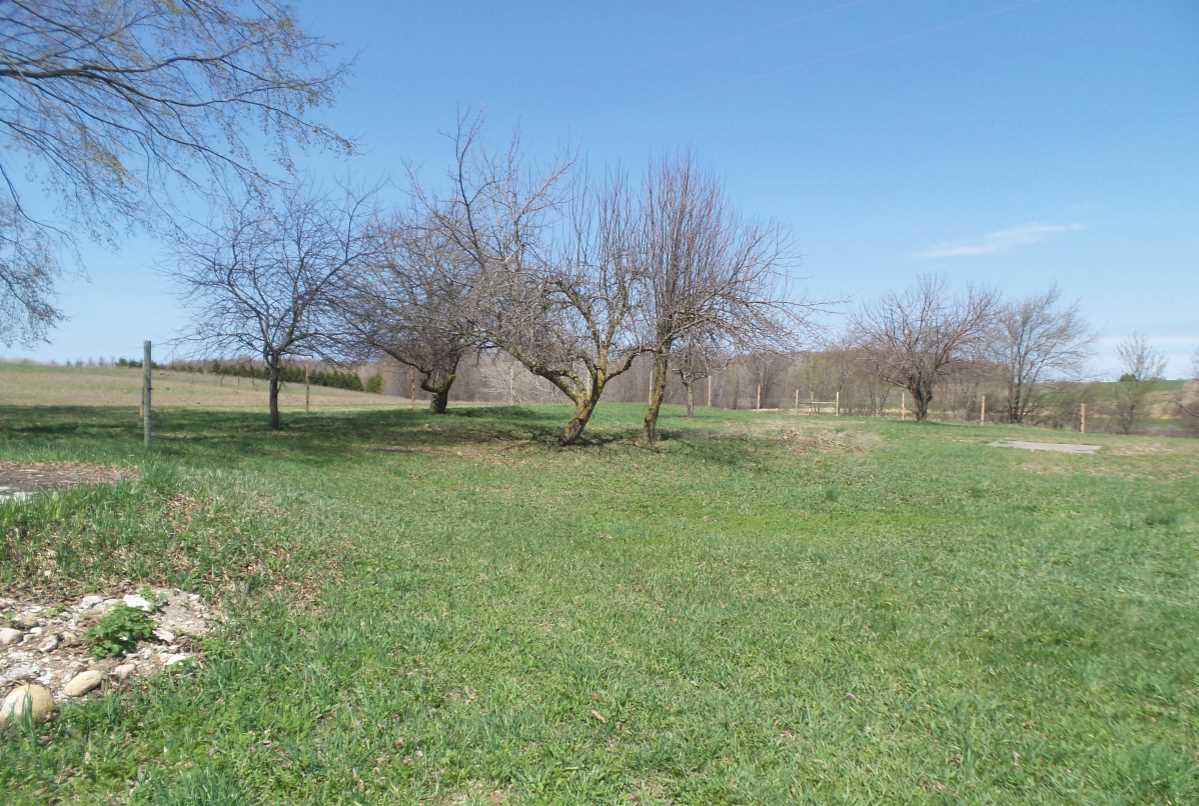5300 Miller Road Buckley, MI 49620 - Photo 4 of 45 1798972-3.JPG
