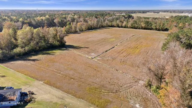 $250,000 | 0 Batts Road, Beulaville, NC 28518