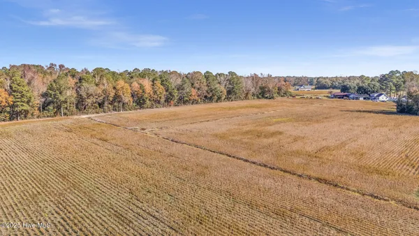 $250,000 | 0 Batts Road, Beulaville, NC 28518
