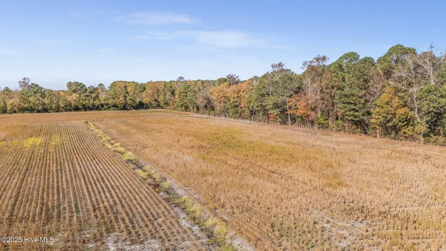 $250,000 | 0 Batts Road, Beulaville, NC 28518