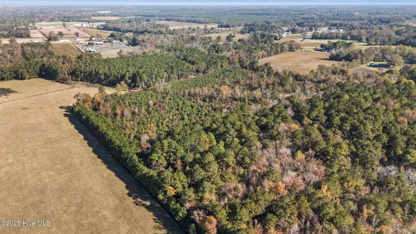 $250,000 | 0 Batts Road, Beulaville, NC 28518