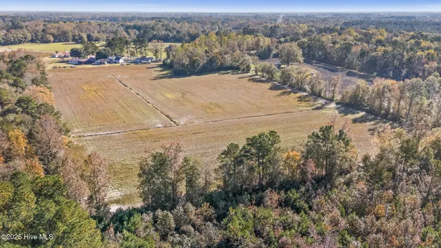 $250,000 | 0 Batts Road, Beulaville, NC 28518