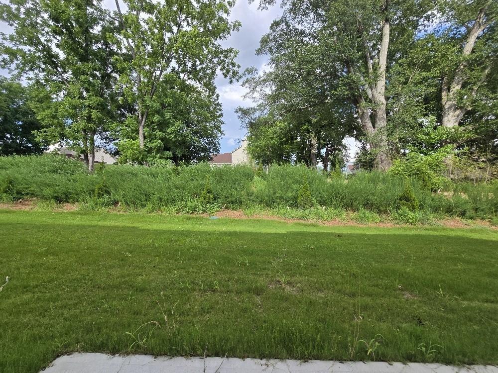 6206 Ripple Way, Unit 89 Atlanta, GA 30349 - Photo 26 of 26 a view of a lush green space
