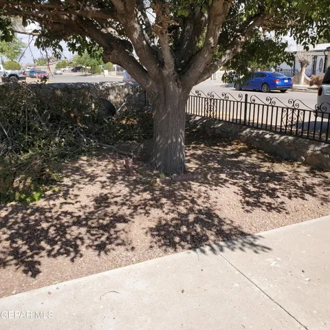 a view of a porch with a tree